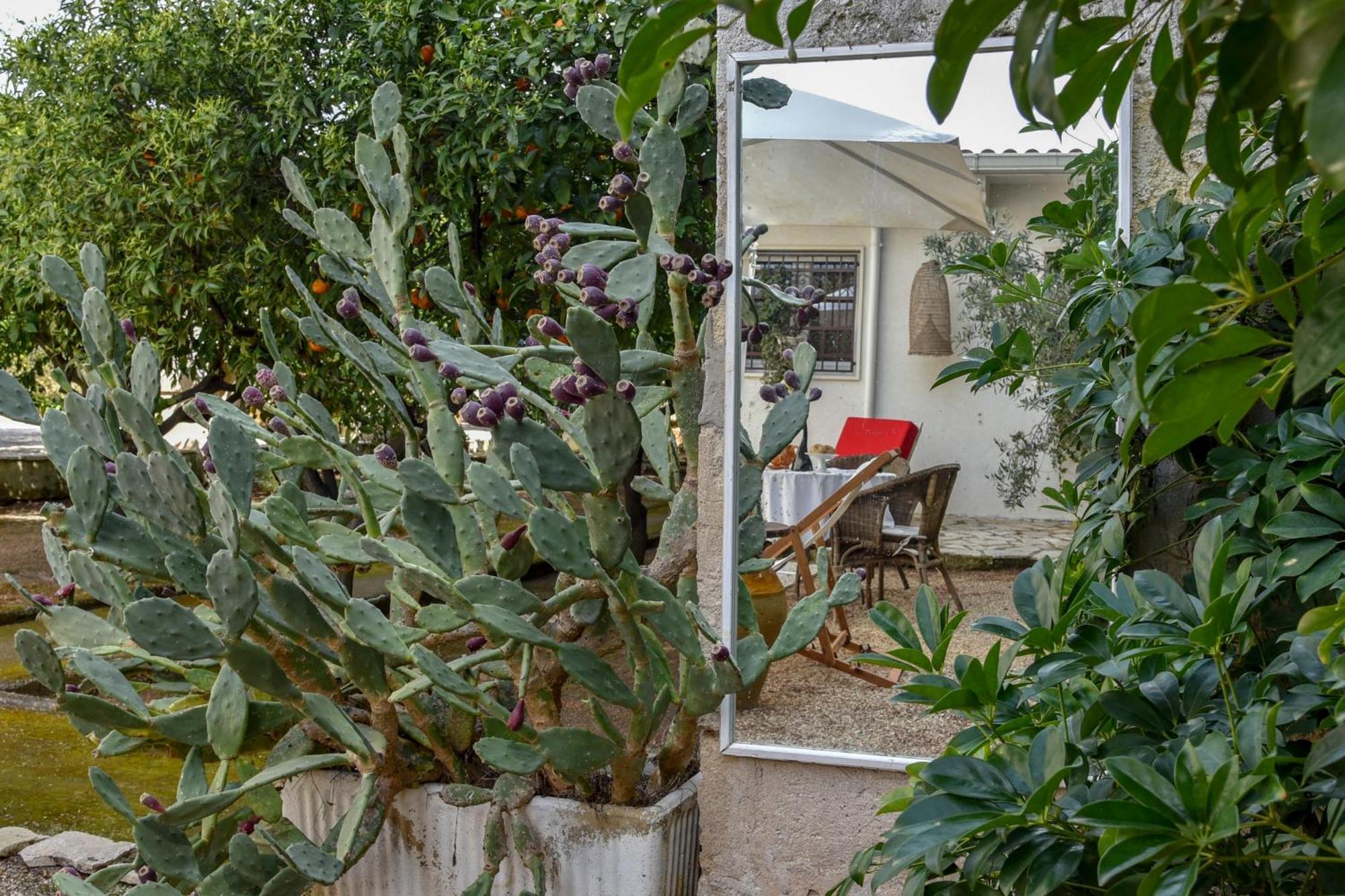 Antica Casina B&B Di Charme 普尔萨诺 外观 照片